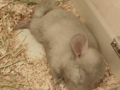 -龙猫仔乐园(惠福东路店)