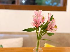 -白熊咖啡(闽江大道店)