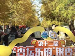 -辽宁大学(崇山校区)