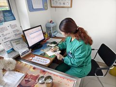 -派美特宠物医院·核磁CT·骨科肿瘤·疑难转诊(沈农禾丰店)