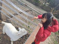 -小鱼草莓采摘园农家乐·小鱼餐厅