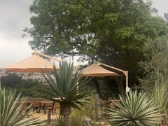 -Brew Farm·精酿农场海滨悬崖餐厅