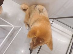 -NOTBAD 须时·咖啡馆