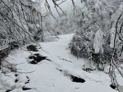 -龙苍沟森林公园
