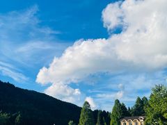 -武陵山森林公园