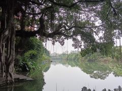 -小洲村
