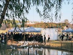 -武汉紫薇都市田园