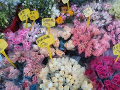 -循礼门鲜花花市(武汉循礼门店)