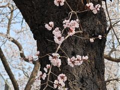 -吉林大学(南岭校区)