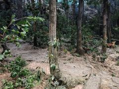 -浙江自然博物院(杭州馆)