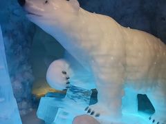 -海合安青岛极地海洋公园