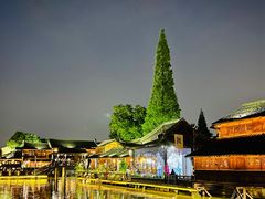 -乌镇西栅景区
