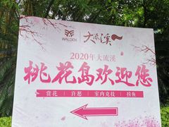-广州市流溪河国家森林公园