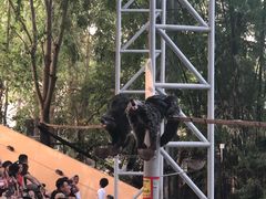 -清迈夜间动物园