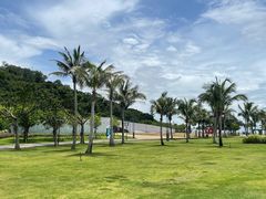 -野狸岛