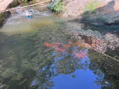 -途中饭店(开化店)