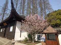 -上海醉白池公园