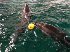 -北戴河圣蓝海洋公园