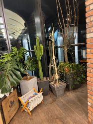 -THE BARN大屋理发馆