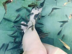 -汤山一号温泉度假区