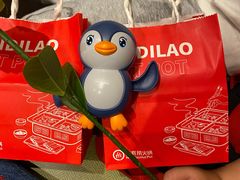 -海底捞火锅(正大乐城店)