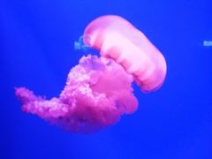 -南昌融创海世界