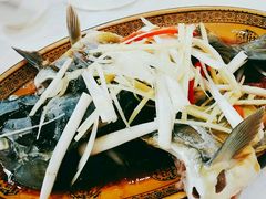 -乡土特色.冷锅鱼.牦牛肉汤锅