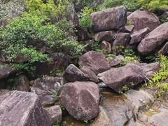 -广州白江湖森林公园