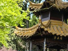 -嘉定紫藤园