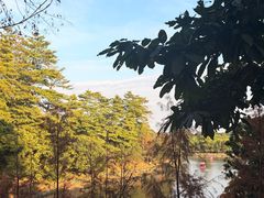 -大屏嶂森林公园
