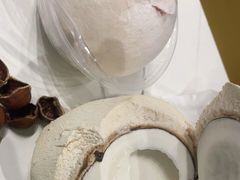-椰子下蛋(南锣鼓巷店)