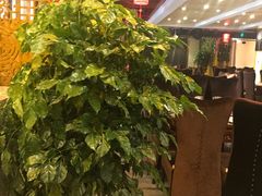 -福海东乡手抓餐厅