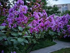 -陕西师范大学(雁塔校区)