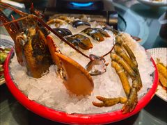 -金龙·打边炉(南京西路店)