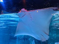 -沈阳海洋探索中心