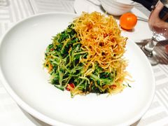 巧拌豆苗-四季民福烤鸭店(王府井灯市口店)