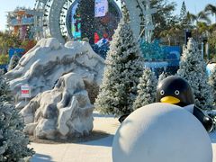 -汕头中海黄金海岸水上乐园