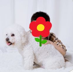 -咔咔儿童摄影馆