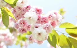 -HEYAN长风荷妍专业脱毛美肤
