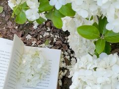 -大龙山(地铁站)