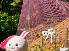 -广州市白云山风景名胜区