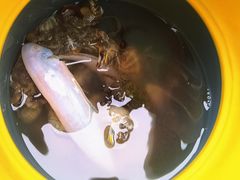 -日照世帆赛基地