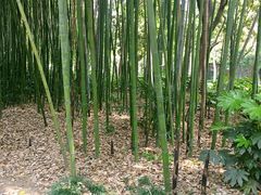 -苏州河梦清园环保主题公园