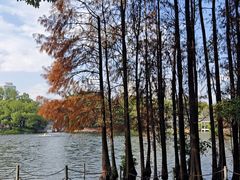 -荔湾湖公园