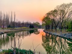 -大兴滨河森林公园