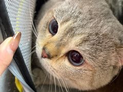 -瑞派天宁宠物医院·猫科·异宠中心