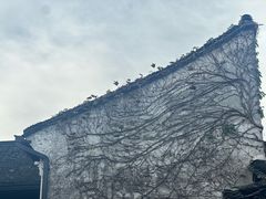 -乌镇景区
