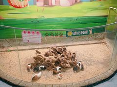 -梦幻海洋王国(吾悦广场张家港店)