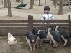 -昆山城市生态森林公园