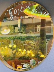 -花隐·美芙炫海菲秀皮肤管理中心